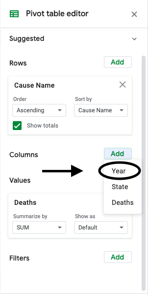 A screenshot of a how to add a column for "Year".