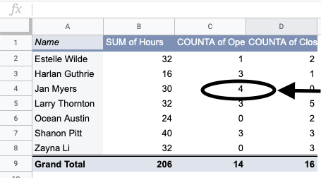 A screenshot of a subset of original work hour pivot table.
