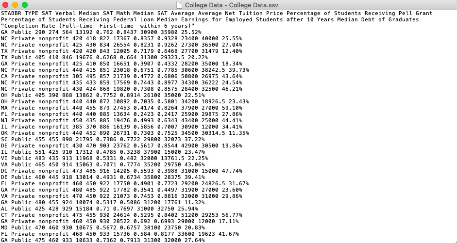 A screenshot of an example ssv file.