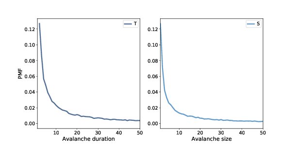 "Figure 10.2: Distribution of avalanche duration (left) and size (right), linear scale."