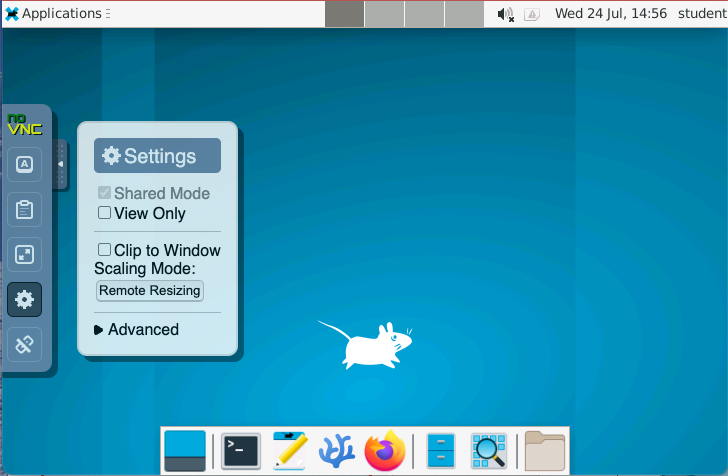 The development environment window displaying a Linux desktop.