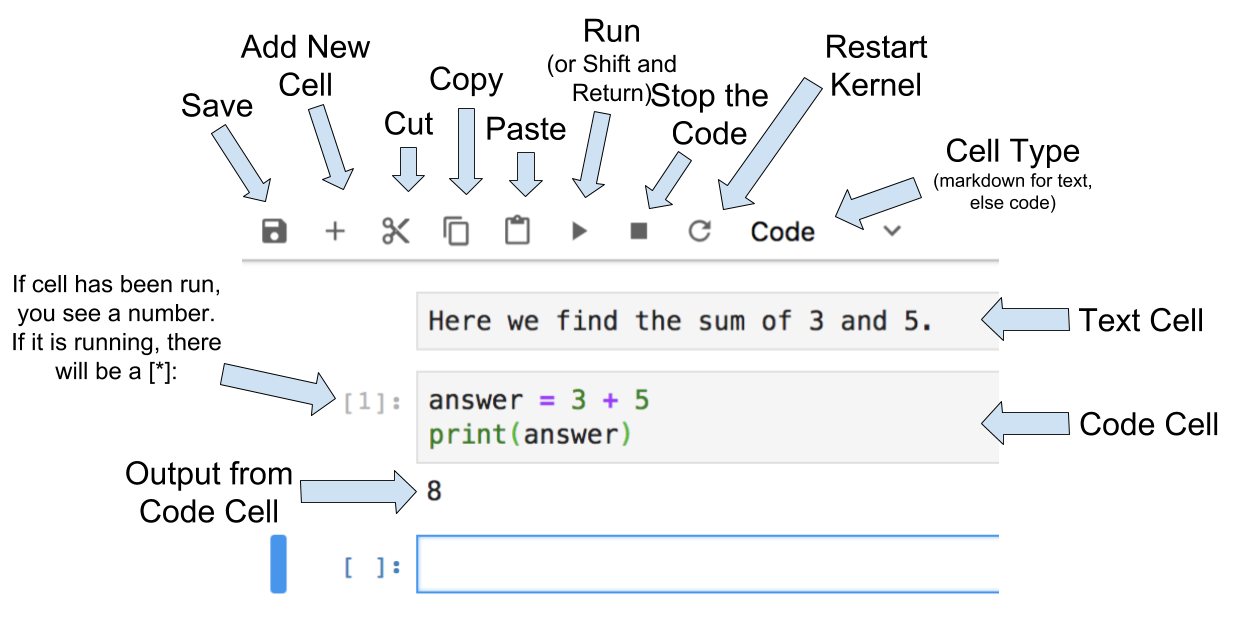 Jupyter Notebook opened with arrows pointing to icons that can be pressed, text cells, and code cells in the UI.