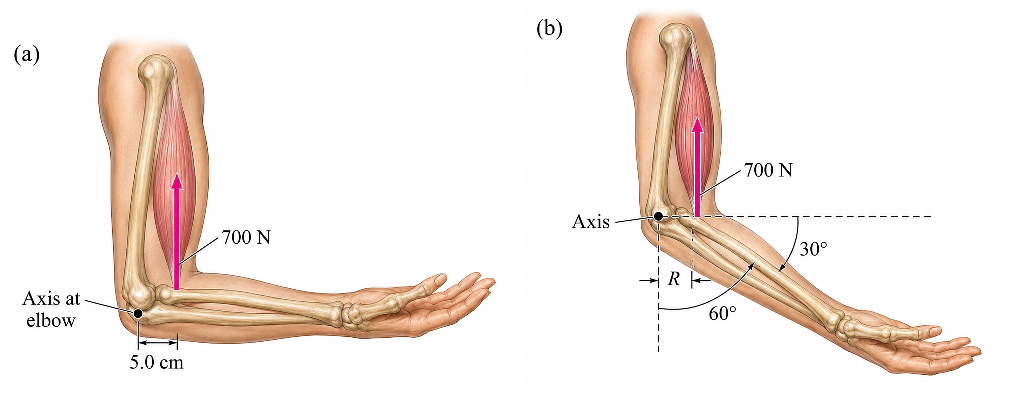 described in detail following the image