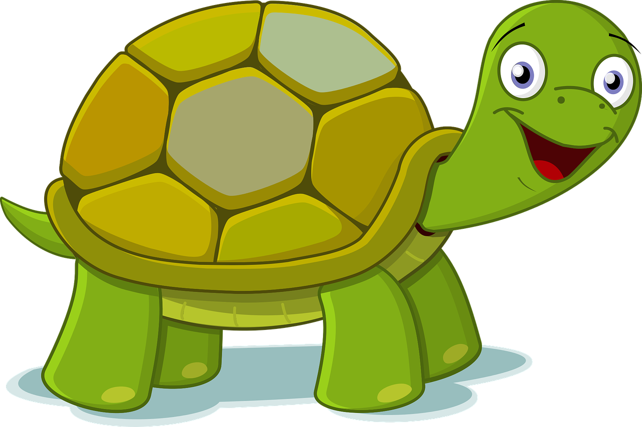 small image of a cartoon turtle