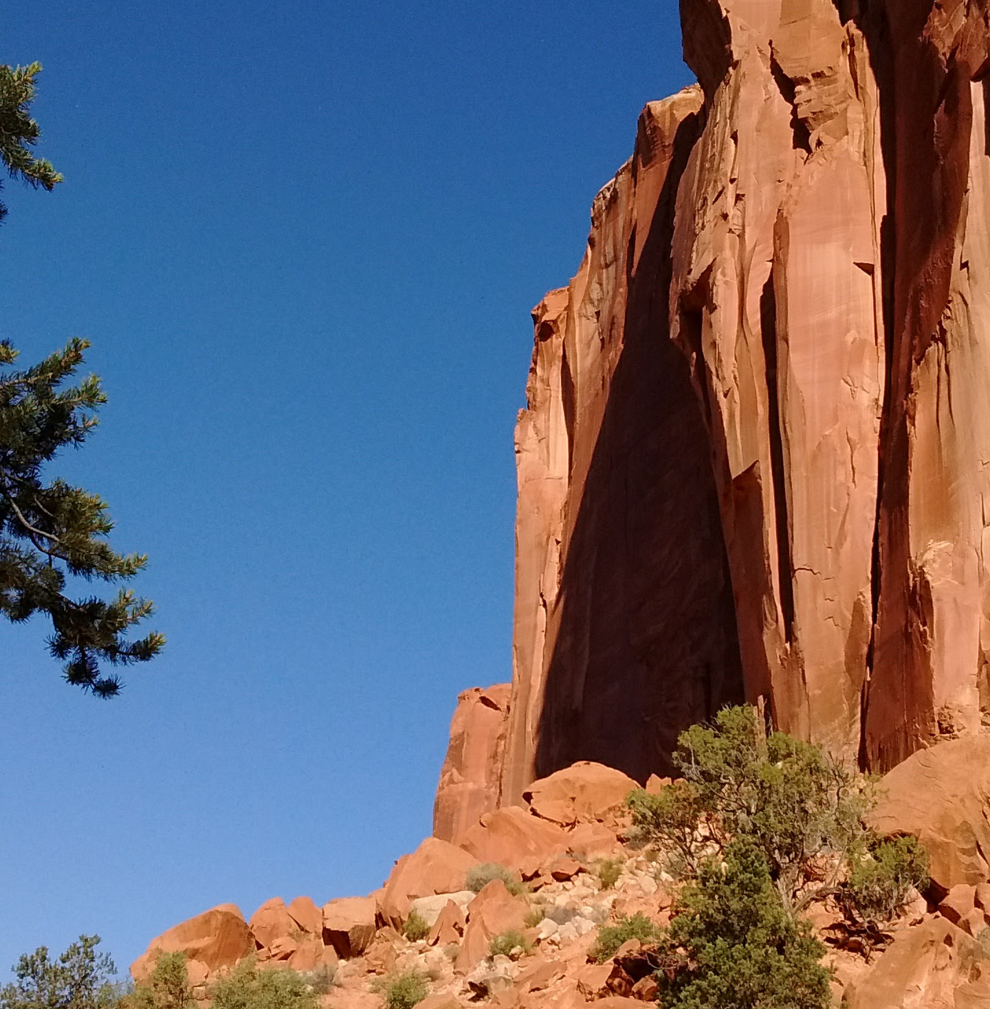 A photograph of a red rock canyon wall against a blue sky.